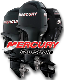 Mercury 4 Stroke